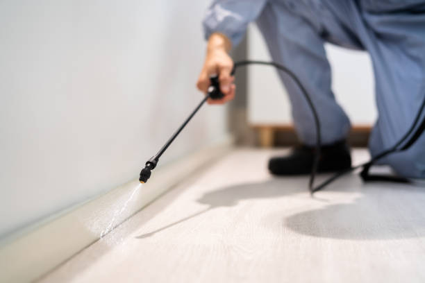 Licensed Bed Bug Control service in Houghton Lake, MI - Nex Pest Control