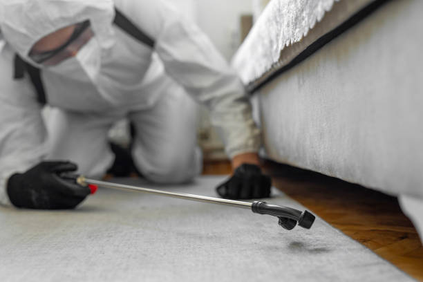 Professional Bed Bug Control technician working in Houghton Lake, MI