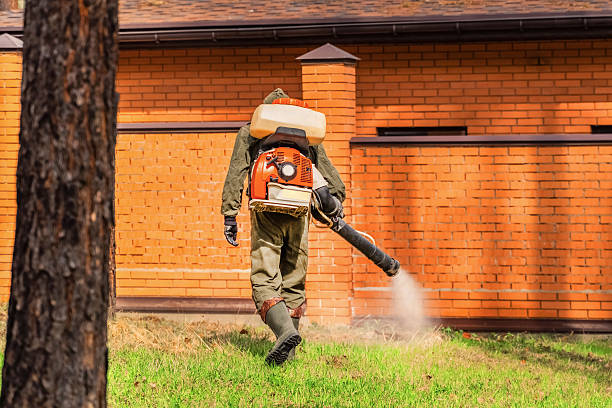 Trusted Termite Control service in Houghton Lake, MI - Nex Pest Control